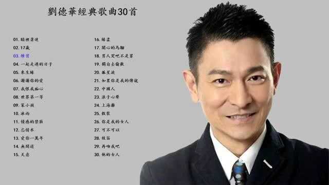 刘德华 经典歌曲30首