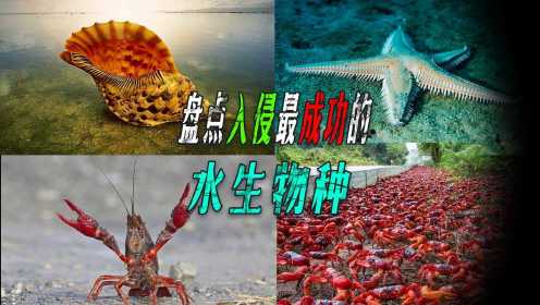 海洋中遭人唾弃的入侵生物，到底有多可怕？看看鲸和花甲下场你就懂了