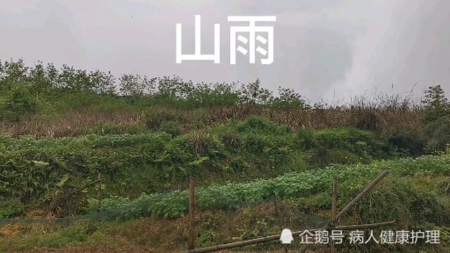 山雨,来玩吗?