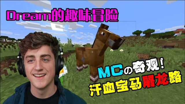 我的世界dream的趣味冒险汗血宝马的屠龙之路