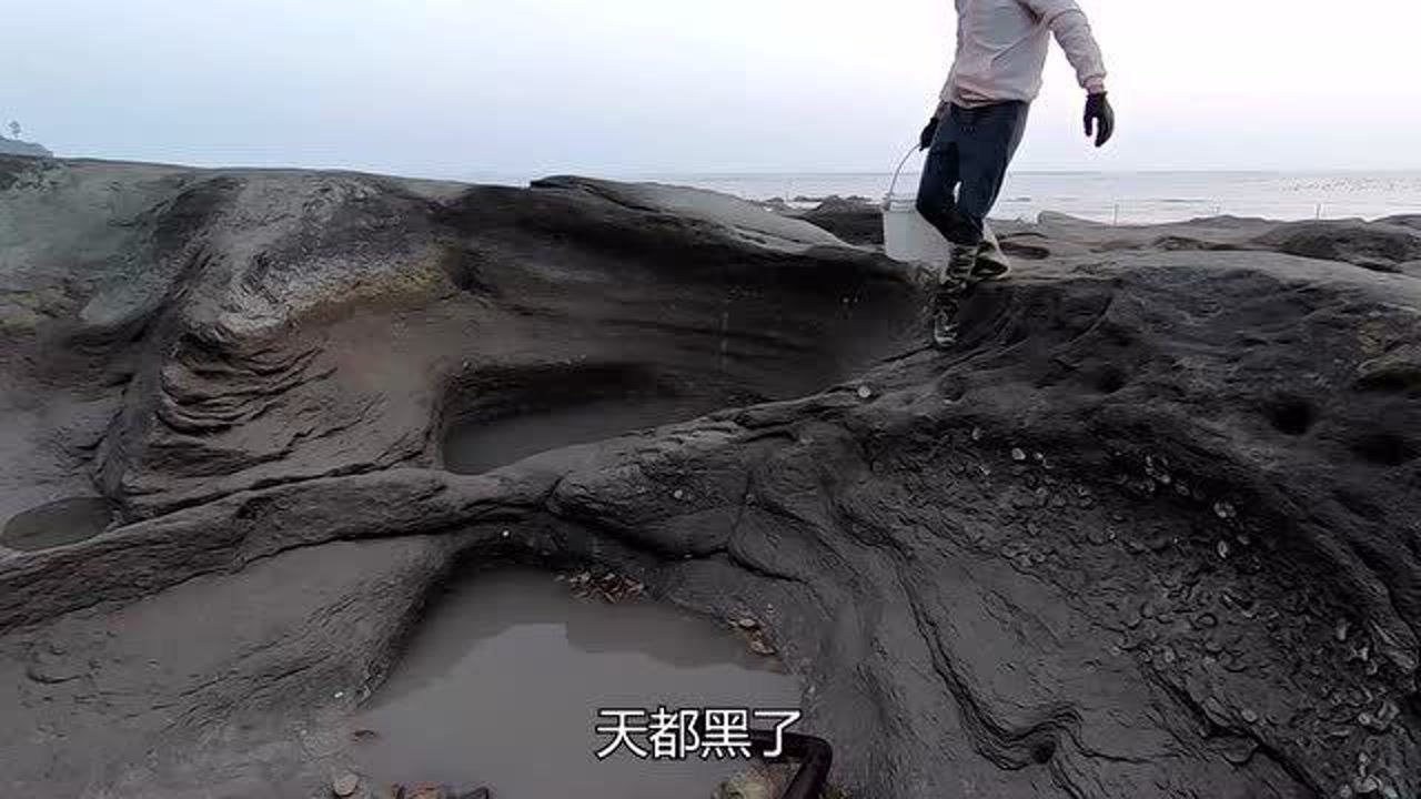 海边赶海遇美女拍户外写真抽坑时竟抓到鱼中西施靓货中的极品