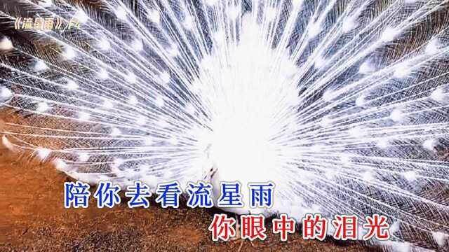 经典影视金曲回顾——台版《流星花园》主题曲