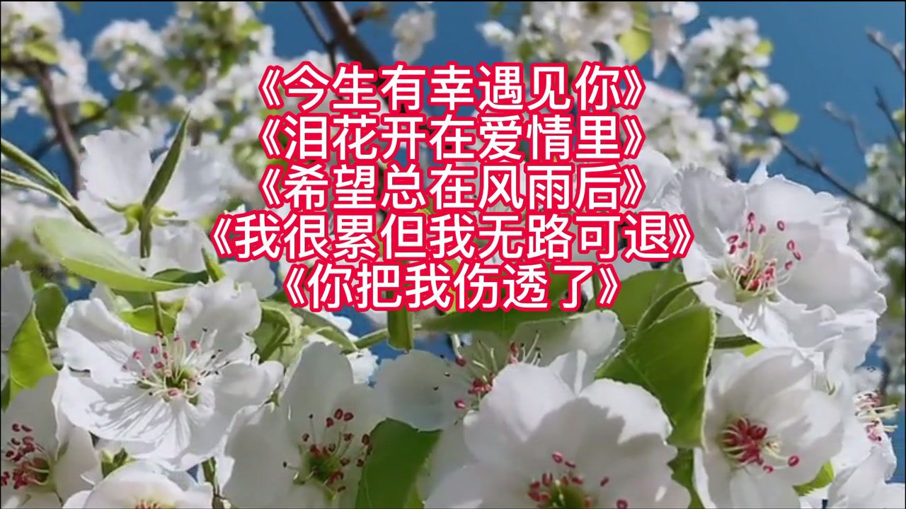 歌曲《今生有幸遇见你》 《泪花开在爱情里》 《希望总在风雨后》
