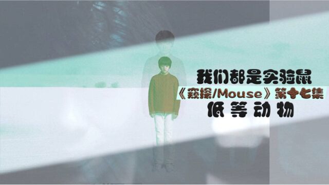 《窥探Mouse》剧情解说第十七集《低等动物》