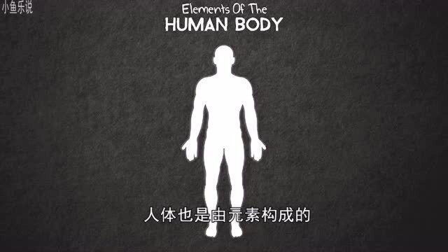 从科学的角度看,骨灰究竟是什么?看看数年后会变成什么?