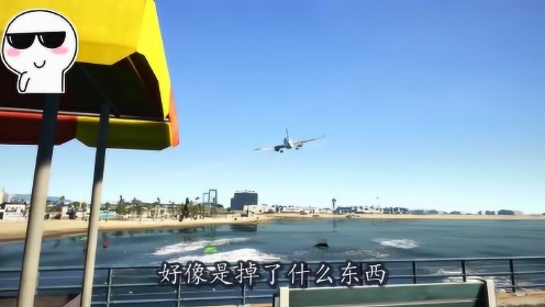 模拟飞行：飞机发动机起火了，能否迫降到沙滩上？老玩家胆真大