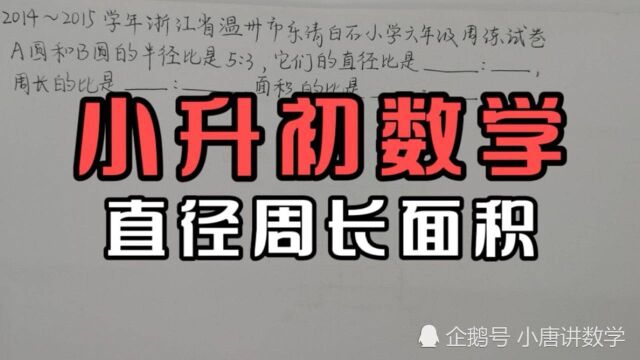 浙江温州市六年级数学试卷,小升初数学易错题,直径周长面积奥数