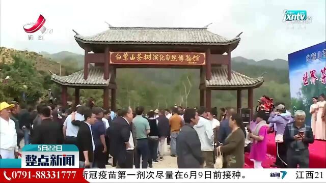 中国首家茶树演化自然博物馆在云南临沧挂牌