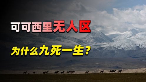 中国最大的无人区，人类生命的禁区，可可西里究竟有多可怕？