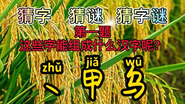 丶甲乌,组一字,都是动物谜?这也太巧了吧?你能猜对几个动物?