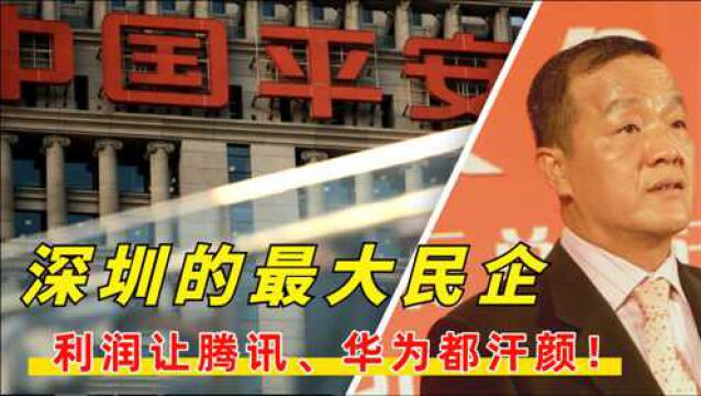 总资产达5万亿,利润超华为785亿,深圳最大民企每天赚33亿