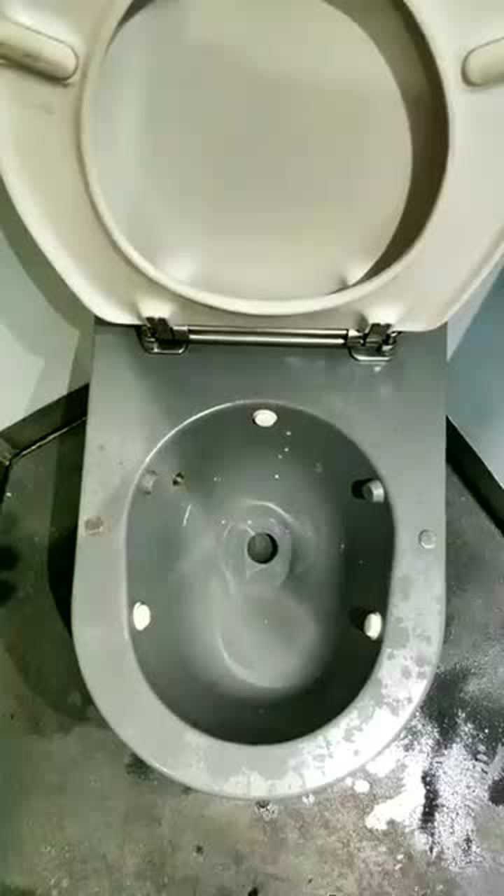 高铁上的马桶就是猛别说便秘了痔疮都能给你吸出来