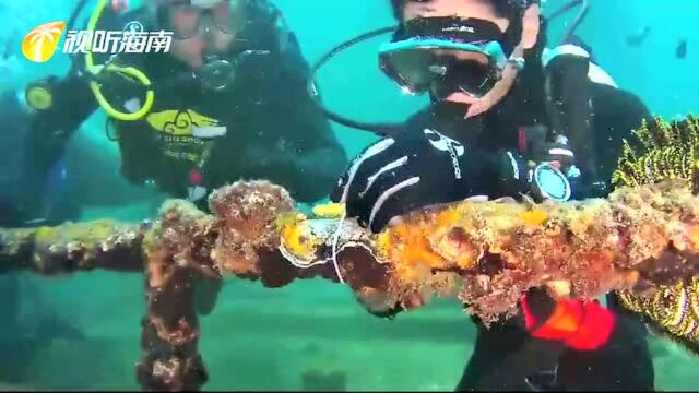 5G+8K VR海洋直播秀——探秘海底世界 "蜈"尽珊瑚海