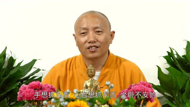 [寻找幸福]字幕版—悟光法师开示