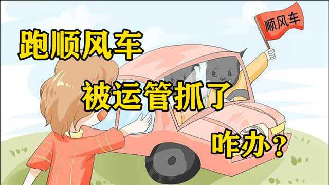 跑顺风车到底合不合规?怎样操作在被运管检查时,不会被罚?