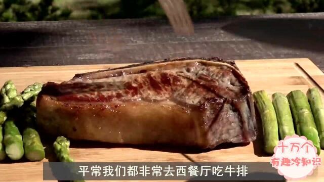 合成牛肉是怎么制作的?国外一男子用一块牛肉还原全过程!