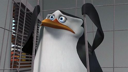 马达加斯加企鹅:害怕打针的你是不是也是这样？打屁股针哟