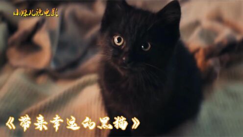#电影HOT大赛# 治愈短片《带来星云的黑猫》：爷爷领养一只幸运猫一路上好运连连，还猜中了百万大奖