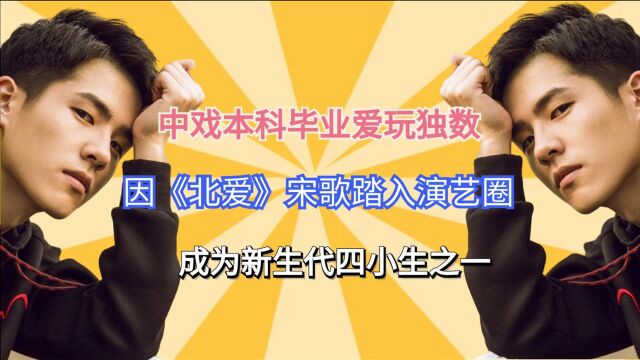 中戏本科毕业爱玩独数,因《北爱》宋歌踏入演艺圈,成为新生代四小生之一