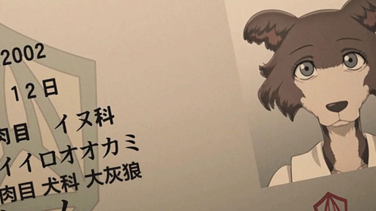 动物狂想曲朱诺开始主动出击 #动漫  #二次元