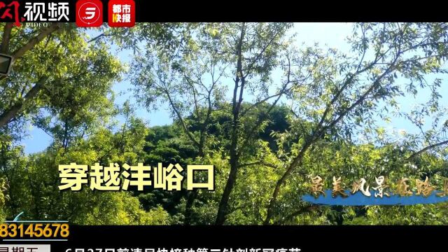 清爽一“夏” 最美风景在路上