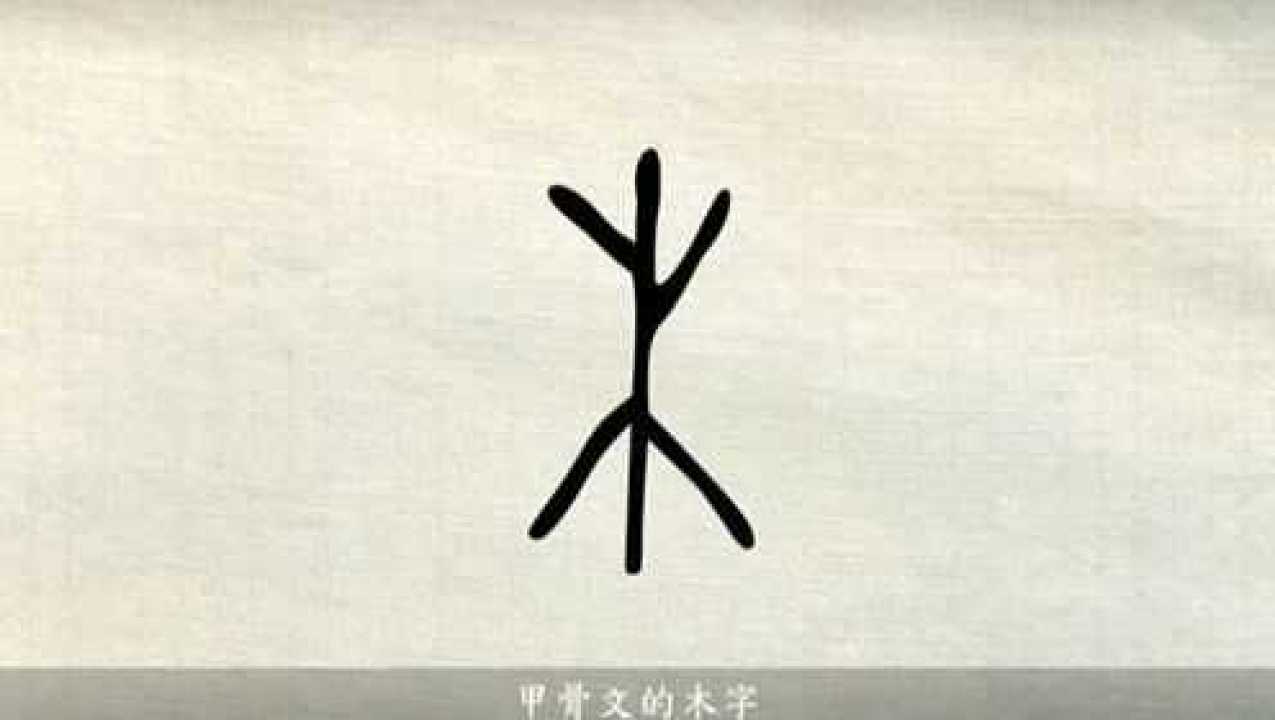 汉字说故事之木字说文解字木冒也冒地而生东方之行从屮下象其根凡木之