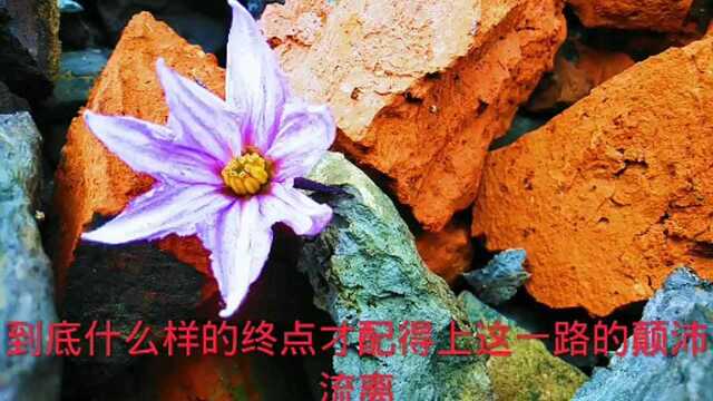 落花不语空辞树,流水无情自入地