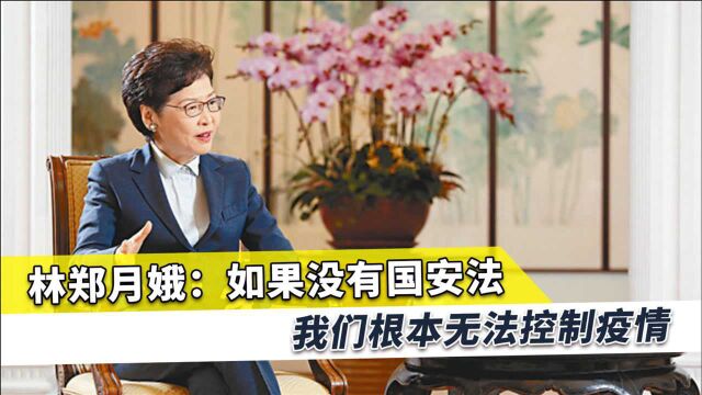 国安法诞生立即煞住香港乱局,林郑月娥:疫情能控制住也靠国安法