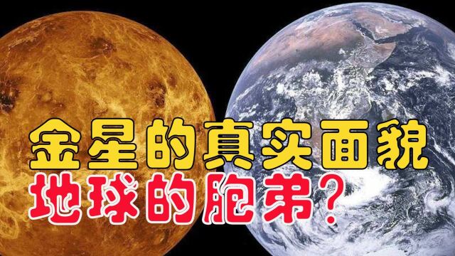 #“知识抢先知”征稿大赛# 金星的真实面目,是地球的胞弟?,那为何人类永不拜访?