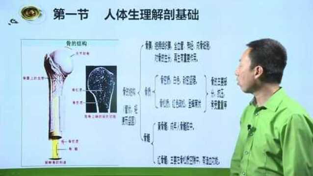 《医学基础》第一节03