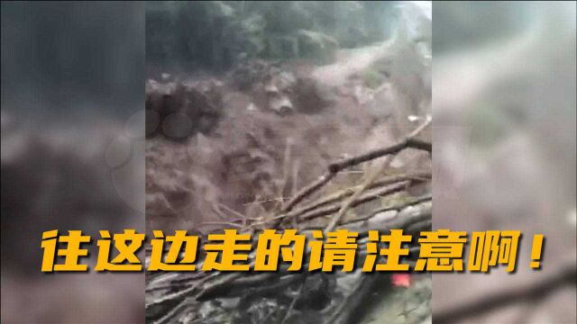 济源王屋山、九里沟景区突发山洪闭园!网传被困4人已脱险