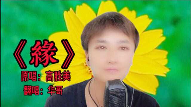 华歌一首高胜美老师的经典曲目《缘》,唱的太好听了,听了一遍又一遍!