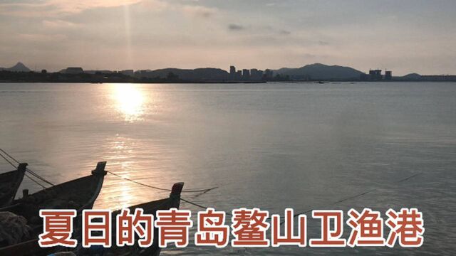 果然视频丨渔港夕照!渔船静静地躺在港湾里,等待休渔期结束