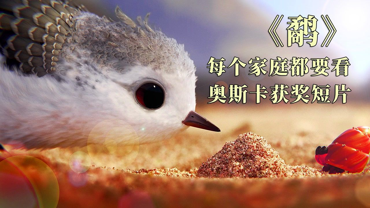 奥斯卡获奖动画短片每个母亲都要看每一帧都是壁纸鹬