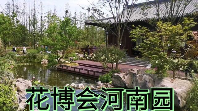 上海花博会河南园,展示河南特色花卉文化,你看如何