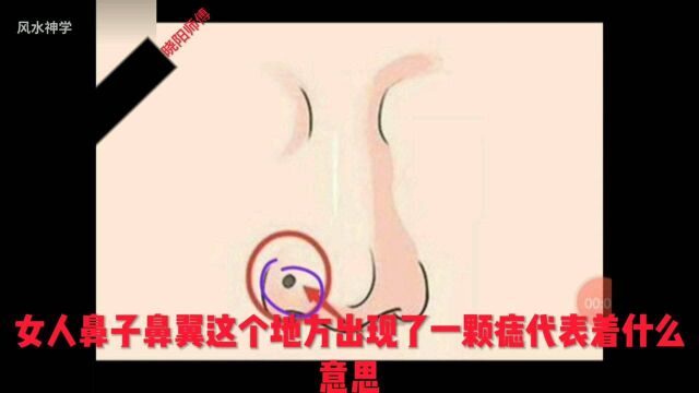 面相:女人鼻翼有痣讲解