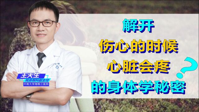 解开“伤心的时候心脏会疼”的身体学秘密