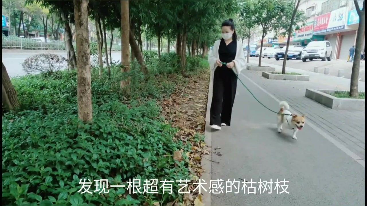 路边捡回一根枯树枝,做了一个超好看的摆件_腾讯视频