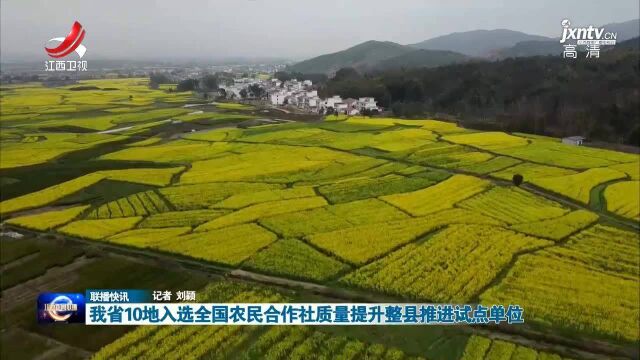 我省10地入选全国农民合作社质量提升整县推进试点单位