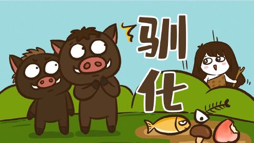 花小烙科普小课堂_猪是如何被人类给驯化的？#知识π计划-知识抢先知#_高清完整版视频在线观看_腾讯视频