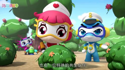 01_海豚帮帮号 第二季_1080p在线观看平台