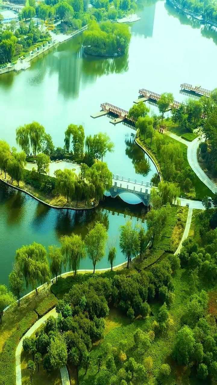 时光荏苒岁月如梭蓦然回首唯有努力让人欣慰风景自然之美菏泽市牡丹区