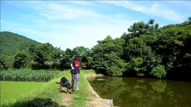 最好的日子,不是攀比也不是繁华,而是心中有爱,无处不是风景