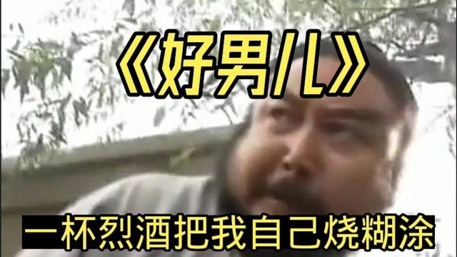 经典歌曲《好男儿》分享给大家