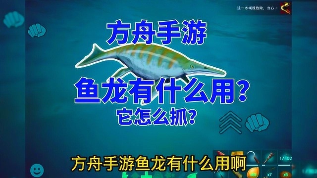 方舟生存进化:水底入场券,鱼龙怎么抓以及它有什么作用 ?