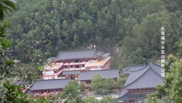 东莞樟木头宝山森林公园,十几个山坡穿越7小时全程野路,爽歪歪