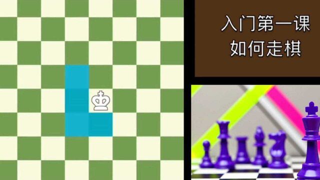 国际象棋 vipchess 第1课