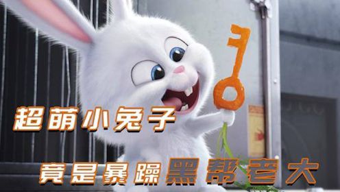 动画电影，可爱的小兔子有什么坏心眼呢？它只是想消灭人类而已#电影HOT短视频大赛 第二阶段#