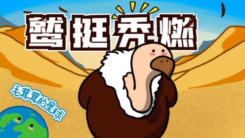 #知识π计划-知识抢先知#这傻鸟为什么秃?_高清1080P在线观看平台_腾讯视频