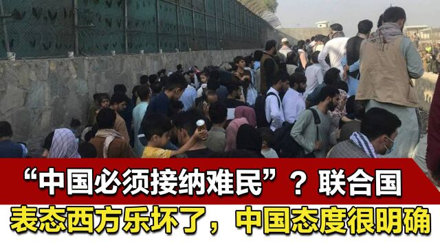 “中国必须接纳难民”?联合国表态西方乐坏了,中国态度很明确